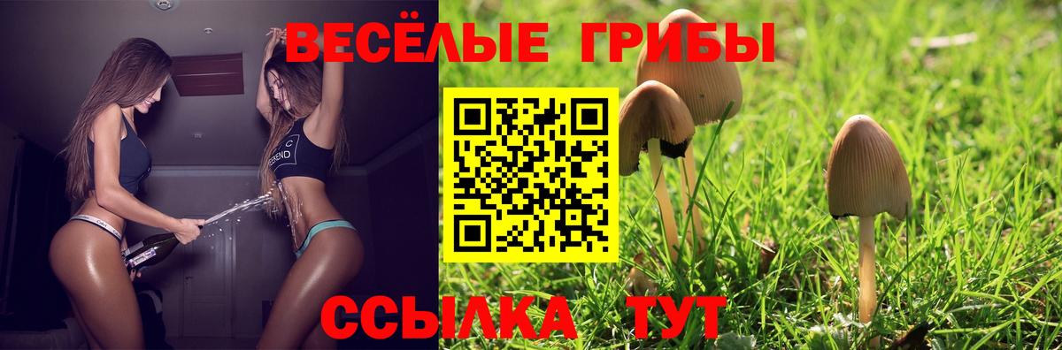 Псилоцибиновые грибы мухоморы Геленджик