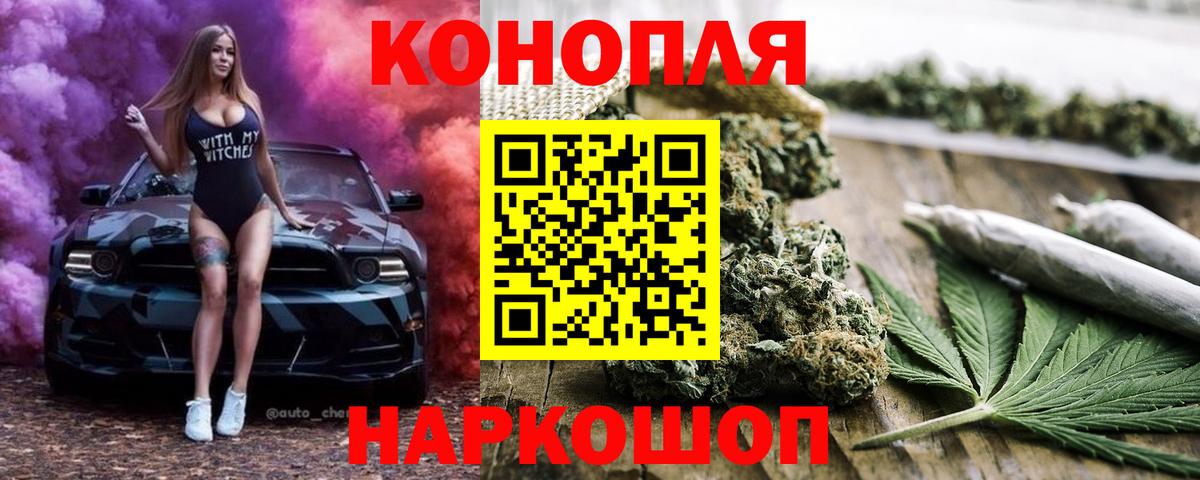 Конопля планчик Геленджик