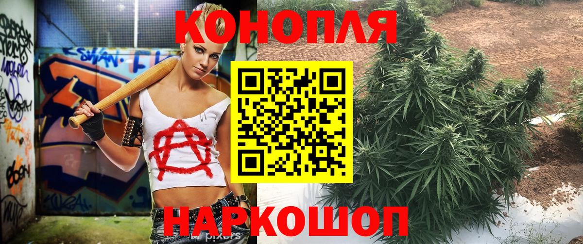 Бошки марихуана VHQ  Конопля конопля  Вход с VPN  Геленджик 